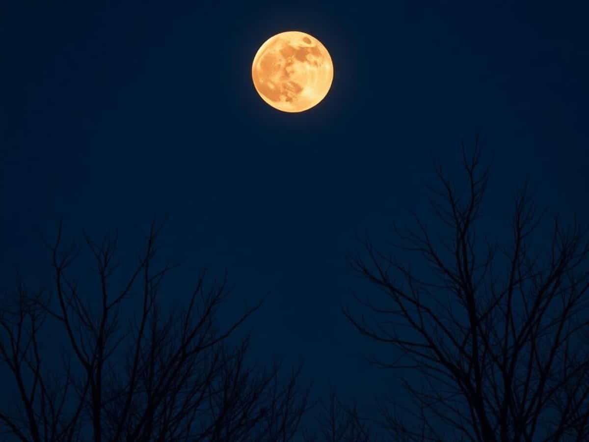 What is the spiritual meaning of December's full moon also known as the Cold Moon?