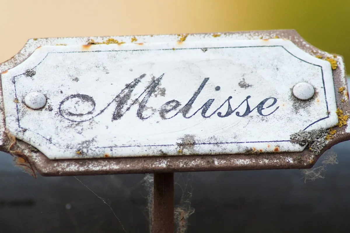 The psychological reason we give human names to our inanimate possessions