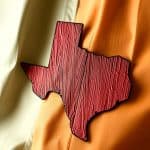 SNAP Texas Benefits May 2026: Full payment schedule by case number