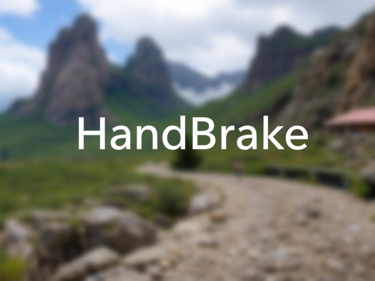 Handbrake
