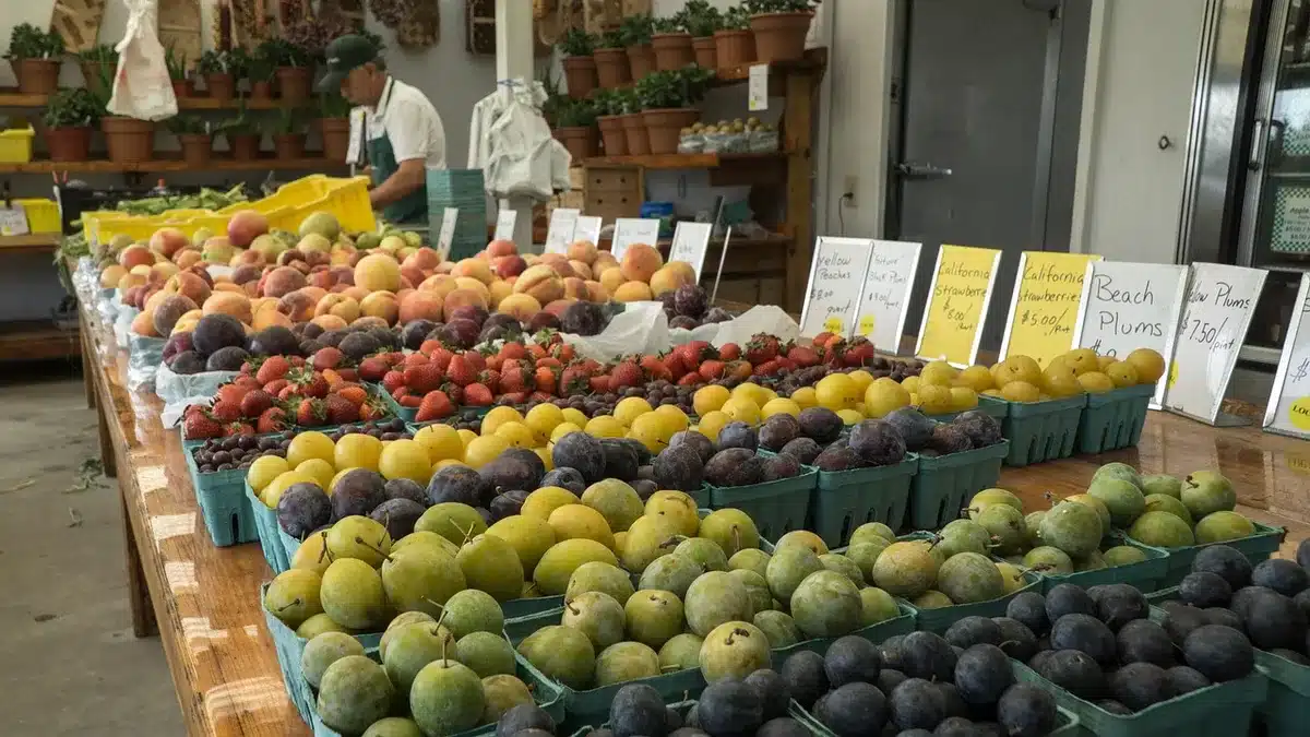 Ingresso di un mercato agricolo con transenne e bancarelle in allestimento