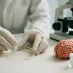 Scoperta a Stanford: il cervello è due organi in uno! I dettagli.