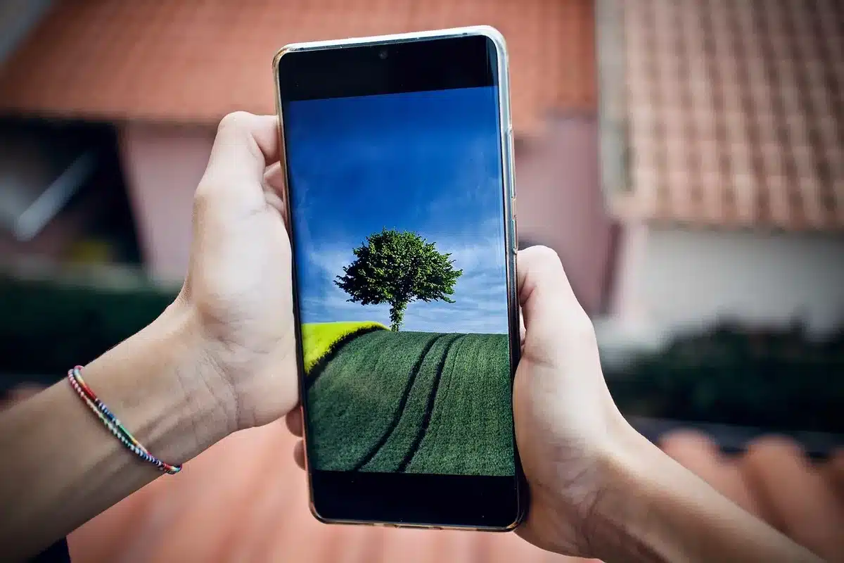 Display esterno e interno di un telefono pieghevole mostrati aperti e chiusi