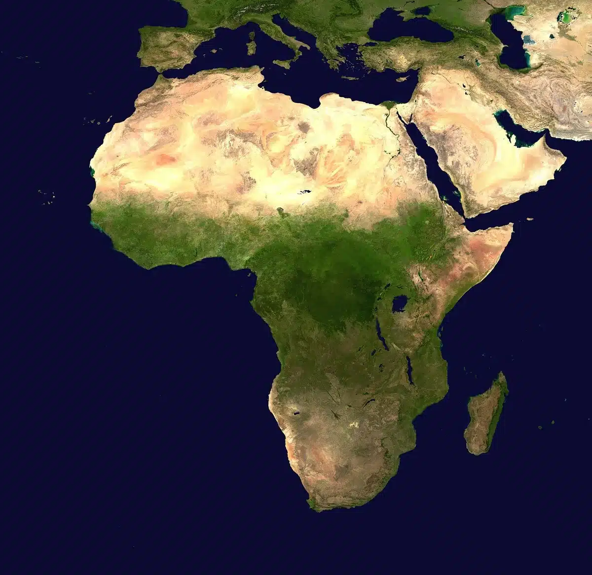 Immagine satellitare che mostra aree disboscate confrontate con aree protette