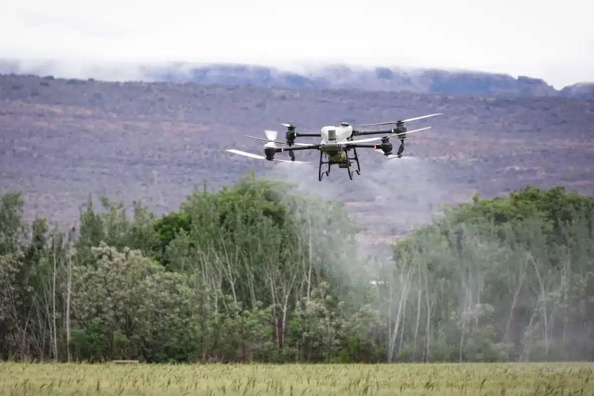 Silhouette di droni e sensori in un campo che evocano reti autonome militari