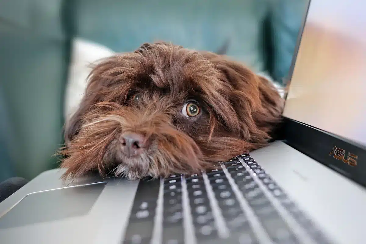 Schermata concettuale di una macchina virtuale con interfaccia minimal